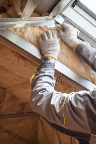 Best Insulation for New Construction  in Wlowbrook, IL