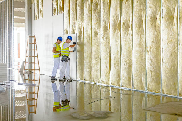 Insulation Inspection Services in Willowbrook, IL